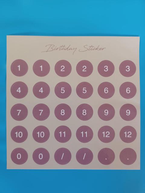 SPINNS  LADIES o[Xf[XebJ[   CeA/Ct 