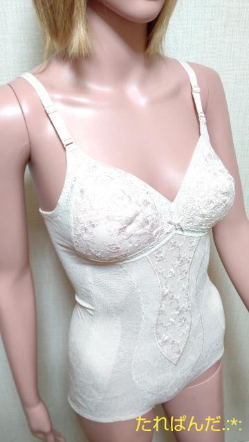 igvA75MbV[X̃{fBX[cS2053_ő