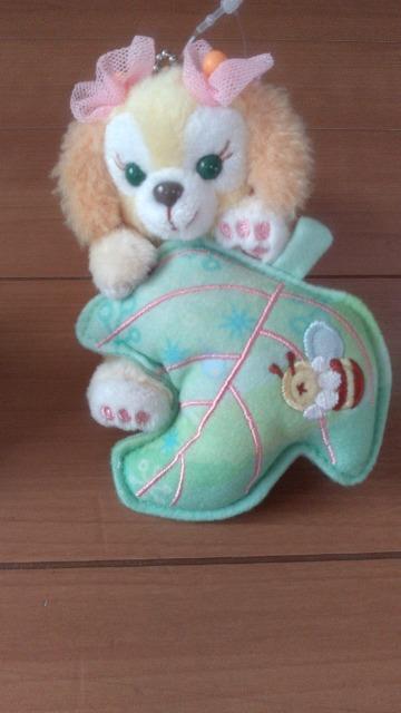 ][gEBbVOEBOXNbL[Aʂ݃`[   CeA/Ct 