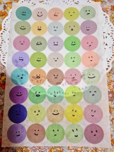 �����������J���t�����畿�V�[���V�[�g��  �� �C���e���A/���C�t�� 