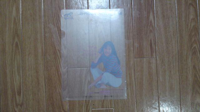 木村佳乃 NTTパーソナル A4ファイル 非売品 < ホビー  木村佳乃 NTTパーソナル A4ファイル 非売品 < ホビーの