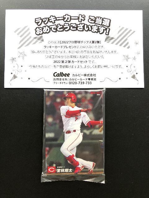 2022カルビー第2弾/ラッキーカードプレゼントセット(広島) < トレーディングカード  2022カルビー第2弾/ラッキーカードプレゼントセット(広島)  < トレーディングカードの