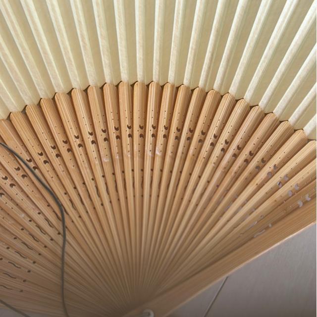 送料無料 扇子 新品 < 女性ファッション  送料無料 扇子 新品 < 女性ファッションの