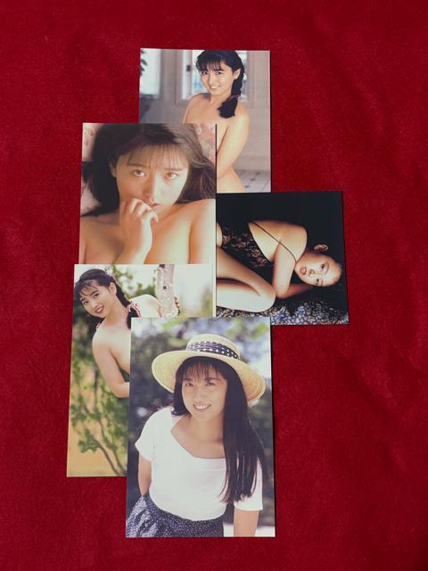 ZNV[D@▃ߎq@|XgJ[h@5@C   ^gObY 