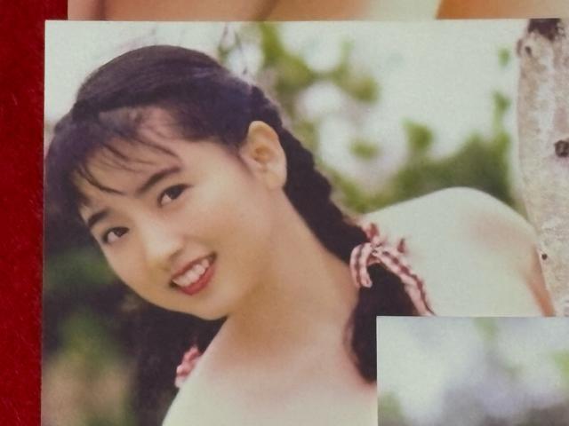 ZNV[D@▃ߎq@|XgJ[h@5@C  ^gObY 