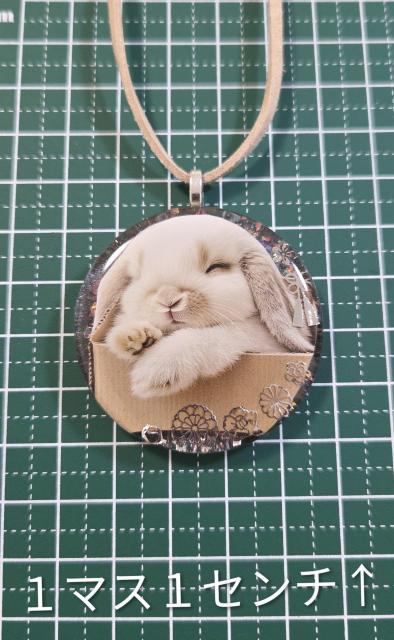 うさぎレジンネックレス★ かわいいネックレス うさぎ ウサギ ウサギアクセサリー うさぎアクセサリー うさぎブローチ < 女性ファッション うさぎレジンネックレス★ かわいいネックレス うさぎ ウサギ ウサギアクセサリー うさぎアクセサリー うさぎブローチ < 女性ファッションの