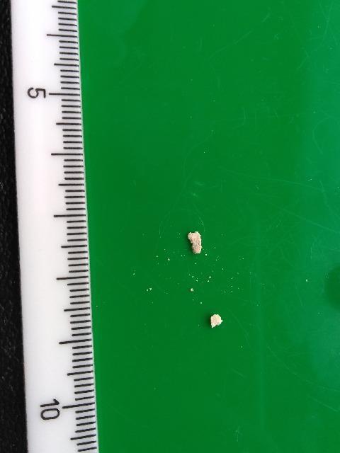 �Z���X�^�C�g�i�V�΁j���� �� �C���e���A/���C�t�� 