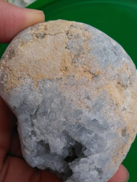 �Z���X�^�C�g�i�V�΁j���� �� �C���e���A/���C�t�� 