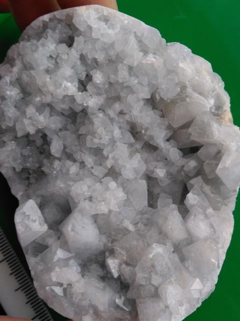 �Z���X�^�C�g�i�V�΁j���� �� �C���e���A/���C�t�� 