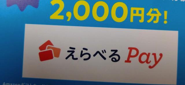 ׂPay2~/1 