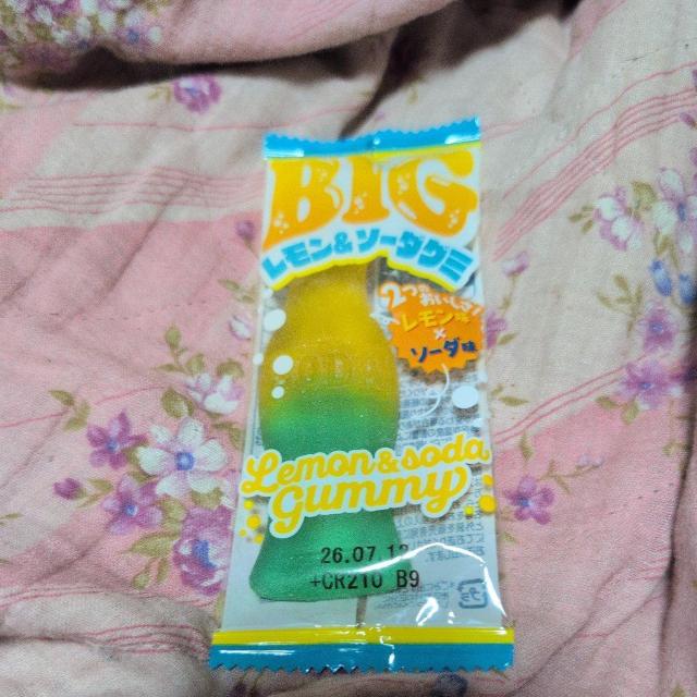 BIG�������\�[�_�O�~ �� �O����/�h�����N�� 