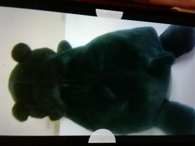 グまモンスリむたいぷてぃっしゅぼっくすけーす < おもちゃ  グまモンスリむたいぷてぃっしゅぼっくすけーす < おもちゃの