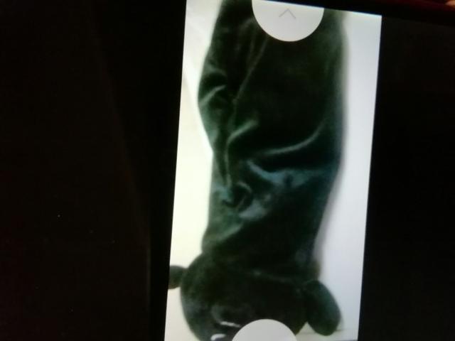 グまモンスリむたいぷてぃっしゅぼっくすけーす < おもちゃ  グまモンスリむたいぷてぃっしゅぼっくすけーす < おもちゃの