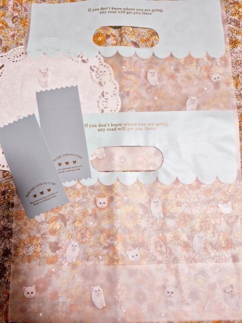 �����������L����}�`�n���h���o�b�N2��+�V�[����  �� �C���e���A/���C�t�� 