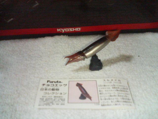 �t���^  ���{�̓���4  �X�����C�J  �� �z�r�[�� 