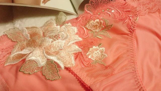 Salute サルート 店舗限定 48G 迎賓の薔薇 ノーマルスタンダードショーツ SP M < 女性ファッション  Salute サルート 店舗限定 48G 迎賓の薔薇 ノーマルスタンダードショーツ SP M < 女性ファッションの