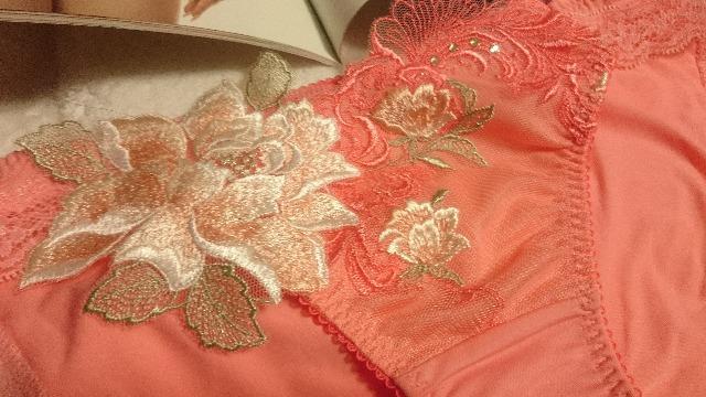 Salute サルート 店舗限定 48G 迎賓の薔薇 ノーマルスタンダードショーツ SP M < 女性ファッション  Salute サルート 店舗限定 48G 迎賓の薔薇 ノーマルスタンダードショーツ SP M < 女性ファッションの