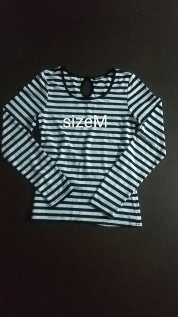 []T/sizeM//   t@bV 