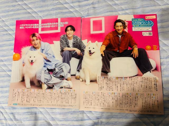 Snow Man 9/3 週刊TVガイド・TV Station・月刊テレビジョン&月刊TVガイド・Myojo他切り抜き < タレントグッズ  Snow Man 9/3 週刊TVガイド・TV Station・月刊テレビジョン&月刊TVガイド・Myojo他切り抜き  < タレントグッズの