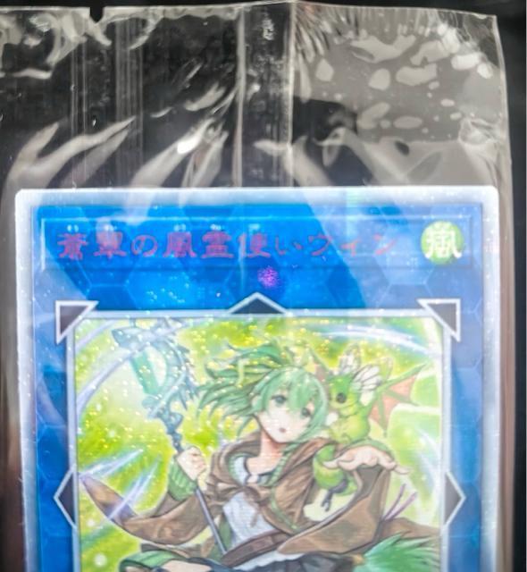 �y�ɔ��i�z�V�Y�� �����̕���g���E�B�� 20th�V�[�N���b�g���A RIRA-JP046 20th�V�N ����g���E�B�� �� �g���[�f�B���O�J�[�h�� 