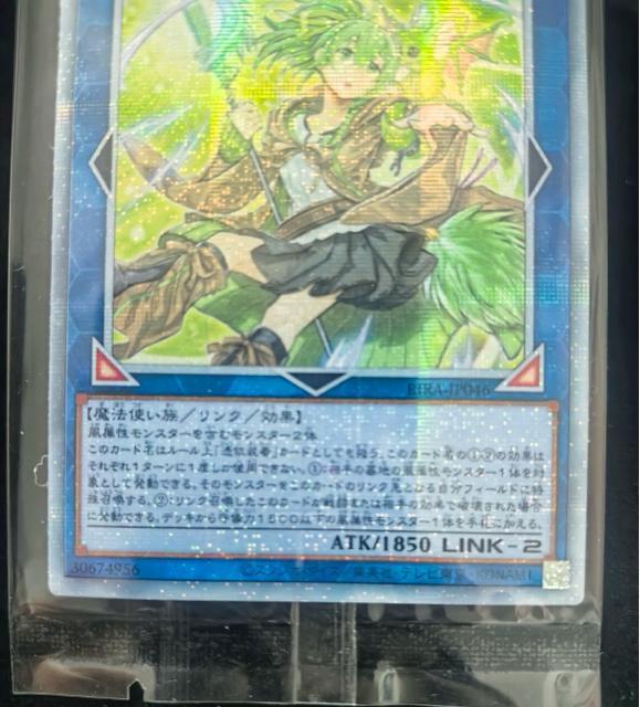 �y�ɔ��i�z�V�Y�� �����̕���g���E�B�� 20th�V�[�N���b�g���A RIRA-JP046 20th�V�N ����g���E�B�� �� �g���[�f�B���O�J�[�h�� 