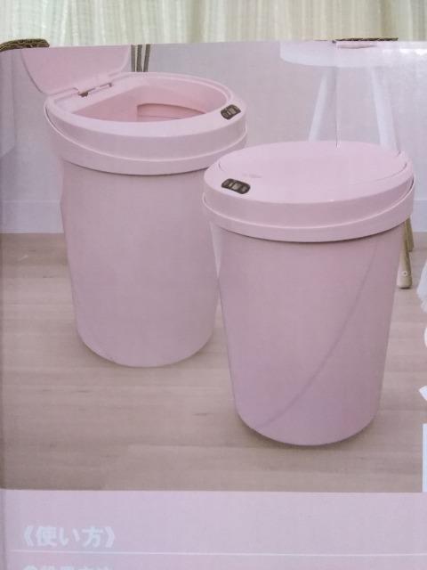 �Z���T�[���_�X�g�{�b�N�X�@�s���N �� �C���e���A/���C�t�� 