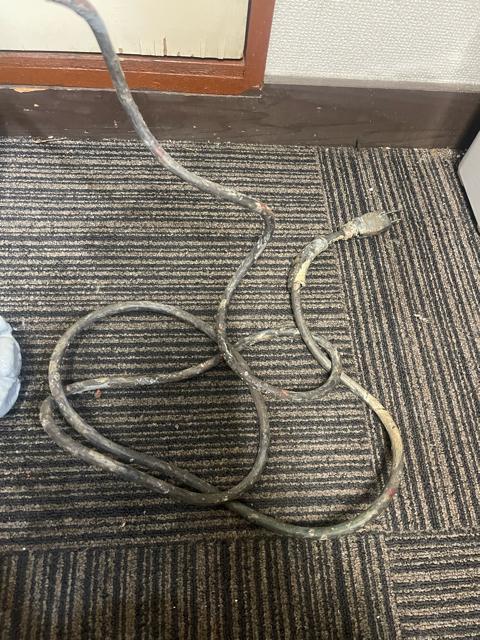 �yMakita �}�L�^ UT1301�z�d�������͂�@ 100V 730W �h�a�@ �����^�� �h�� DIY ����p ����m�F�ς� �� �y�b�g/��|/���|�� 