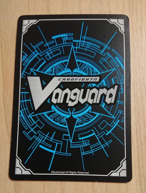 ���@���K�[�h �m�[�}�� �X�p�[�N�L�b�h�E�h���O�[�� BT06/94 438