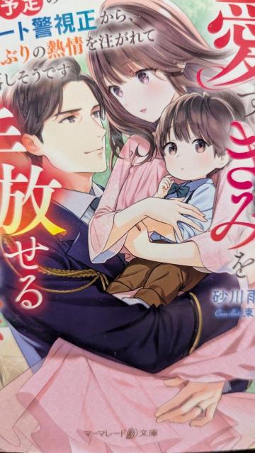 \̃G[gxNԂ̔M𒍂ĊחłJH}[}[h   {/G 