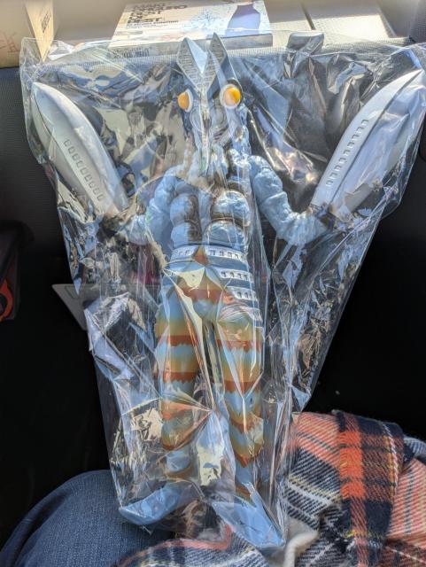 �o���^�����l�\�t�r  �� �z�r�[�� 