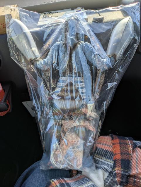 �o���^�����l�\�t�r �� �z�r�[�� 