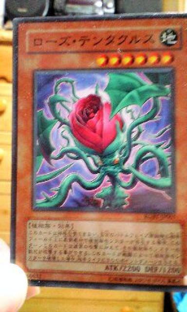 遊戯王【地ローズ・テンタクルス】 < トレーディングカード  遊戯王【地ローズ・テンタクルス】  < トレーディングカードの