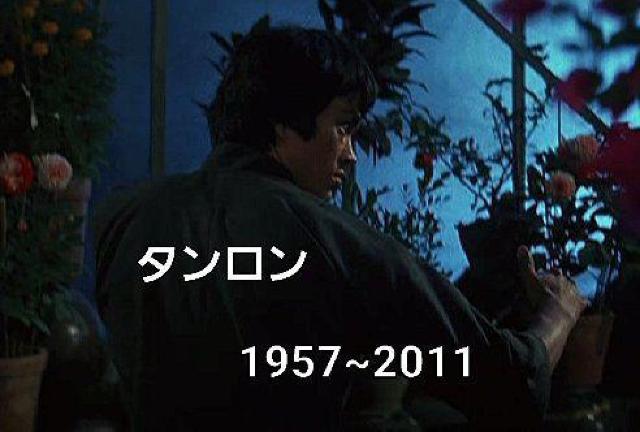 ☆ブルース・リー 死亡塔☆香港初期版-タン・ロン☆ < CD/DVD/ビデオ  ☆ブルース・リー 死亡塔☆香港初期版-タン・ロン☆ < CD/DVD/ビデオの