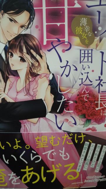 G[gВ͔KȔޏ͂ŊÂ₩~Jlb^ubNX   {/G 