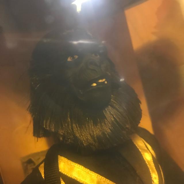 希少 90'ハズプロ 猿の惑星 限定品 ジーラ&ゴリラ軍曹 未開封品 < おもちゃ 希少 90'ハズプロ 猿の惑星 限定品 ジーラ&ゴリラ軍曹 未開封品 < おもちゃの