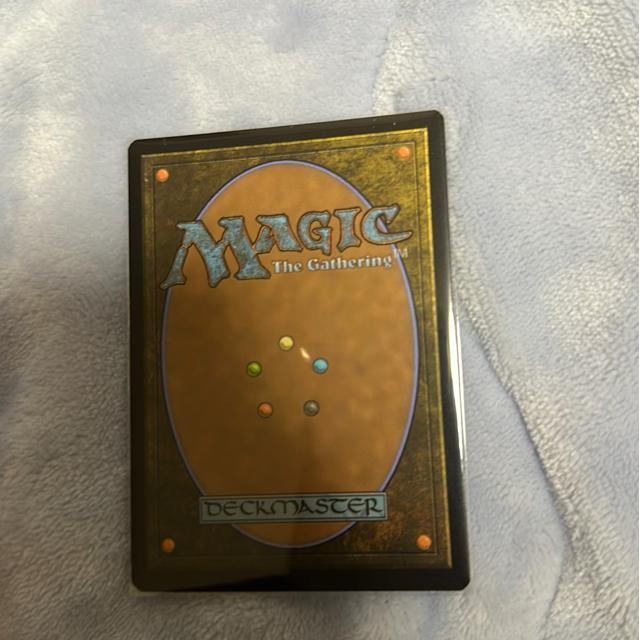 MTG FOIL ���[���J�� �� �g���[�f�B���O�J�[�h�� 