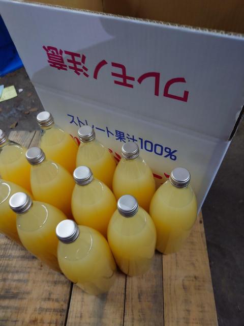 青森りんご サンふじ100% りんごジュース 1L12本入り 送料込 < グルメ/ドリンク 青森りんご サンふじ100% りんごジュース 1L12本入り 送料込 < グルメ/ドリンクの