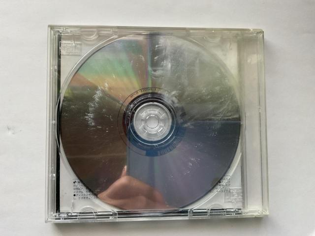 P.O.D. Testify CD�A���o�� WPCR-12258 �m�y ���b�N �� CD/DVD/�r�f�I�� 