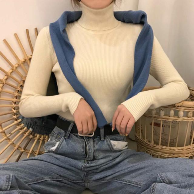 送料無料 新品 リブ ニットトップス タートルネック無地 < 女性ファッション  送料無料 新品 リブ ニットトップス タートルネック無地 < 女性ファッションの