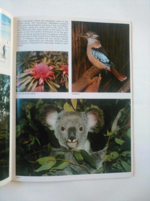 Õi@I[XgA@ptbg @p  {/G 