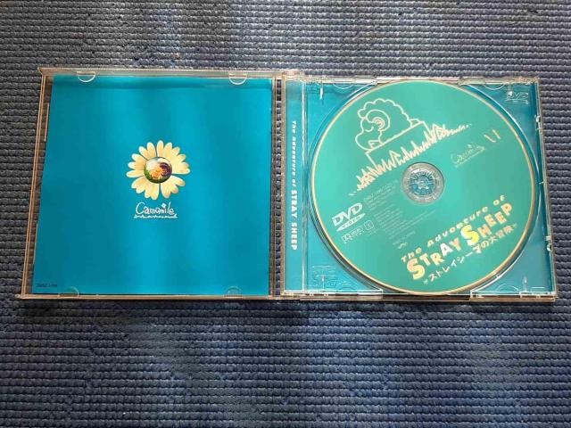 DVD �X�g���C�V�[�v�̑�`�� STRAY SHEEP �� CD/DVD/�r�f�I�� 