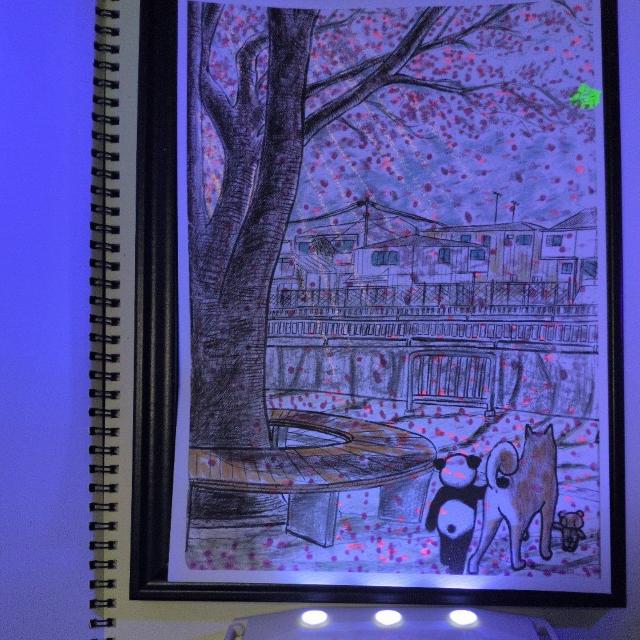 BLACKLIGHT�G�{�AShangri-La�AB5�T�C�Y�R�s�[BLACKLIGHT����13���v���X1���C���X�g���� �� �z�r�[�� 