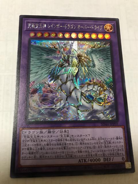 VY ɕʐ_ C{[EhS I[o[EhCu SD44-JPP01 V[NbgA   g[fBOJ[h 