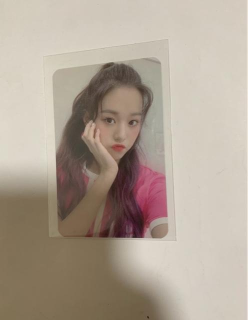 IZONE IZ*ONE IVE ウォニョン 公式トレカ 事前収録 サノク B < タレントグッズ IZONE IZ*ONE IVE ウォニョン 公式トレカ 事前収録 サノク B < タレントグッズの