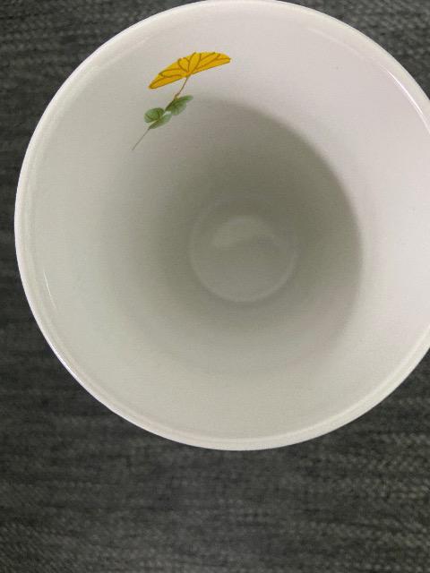 湯呑み 5点セット 新品未使用 < インテリア/ライフ  湯呑み 5点セット 新品未使用 < インテリア/ライフの