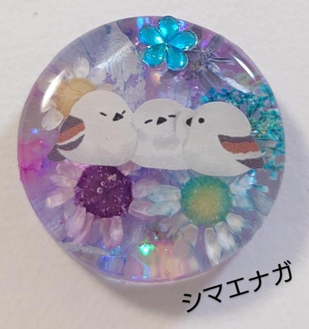 シマエナガドライフラワーアクセサリー☆かわいいヘアゴム   かわいいブローチ   かわいいポニーフック   シマエナガグッズ   < 女性ファッション  シマエナガドライフラワーアクセサリー☆かわいいヘアゴム   かわいいブローチ   かわいいポニーフック   シマエナガグッズ    < 女性ファッションの