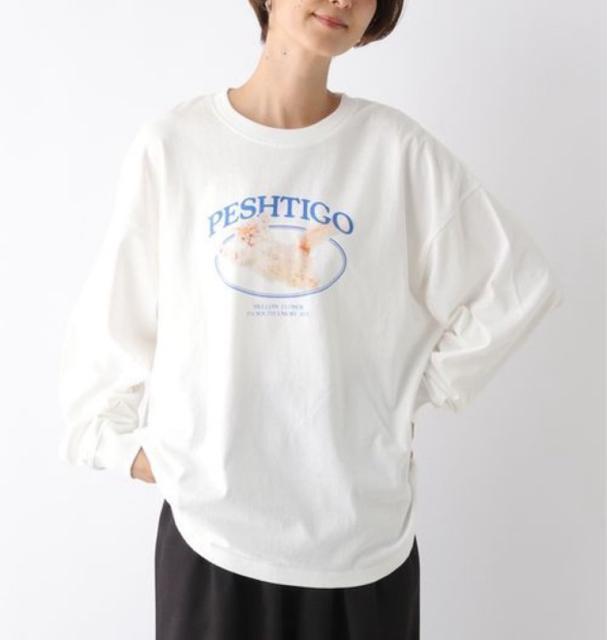 Vi@vVBI[o[TCYTVc  t@bV 