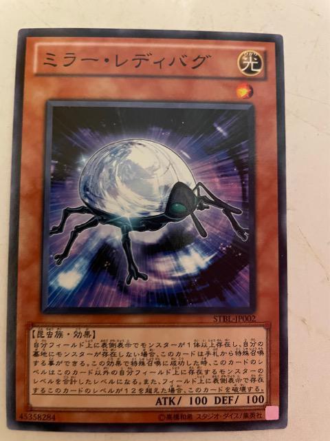 遊戯王【光・ミラーレディバグ】 < トレーディングカード  遊戯王【光・ミラーレディバグ】  < トレーディングカードの