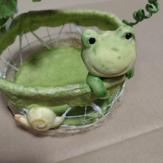 킢@JG@J^c@ԁ@jAXJ[@  CeA/Ct 