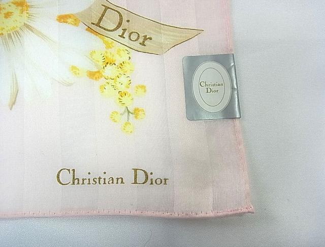 500�~�X�^�����K�i���g�p�V�i�@�N���X�`�����f�B�I�[���唻�n���J�`�i20�j